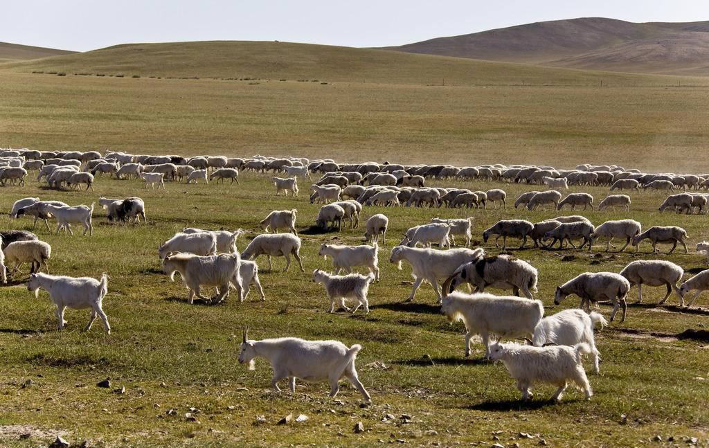 1619766817115329.jpg d46aded775b9ddddb2eb1be8ee2ac861.jpg